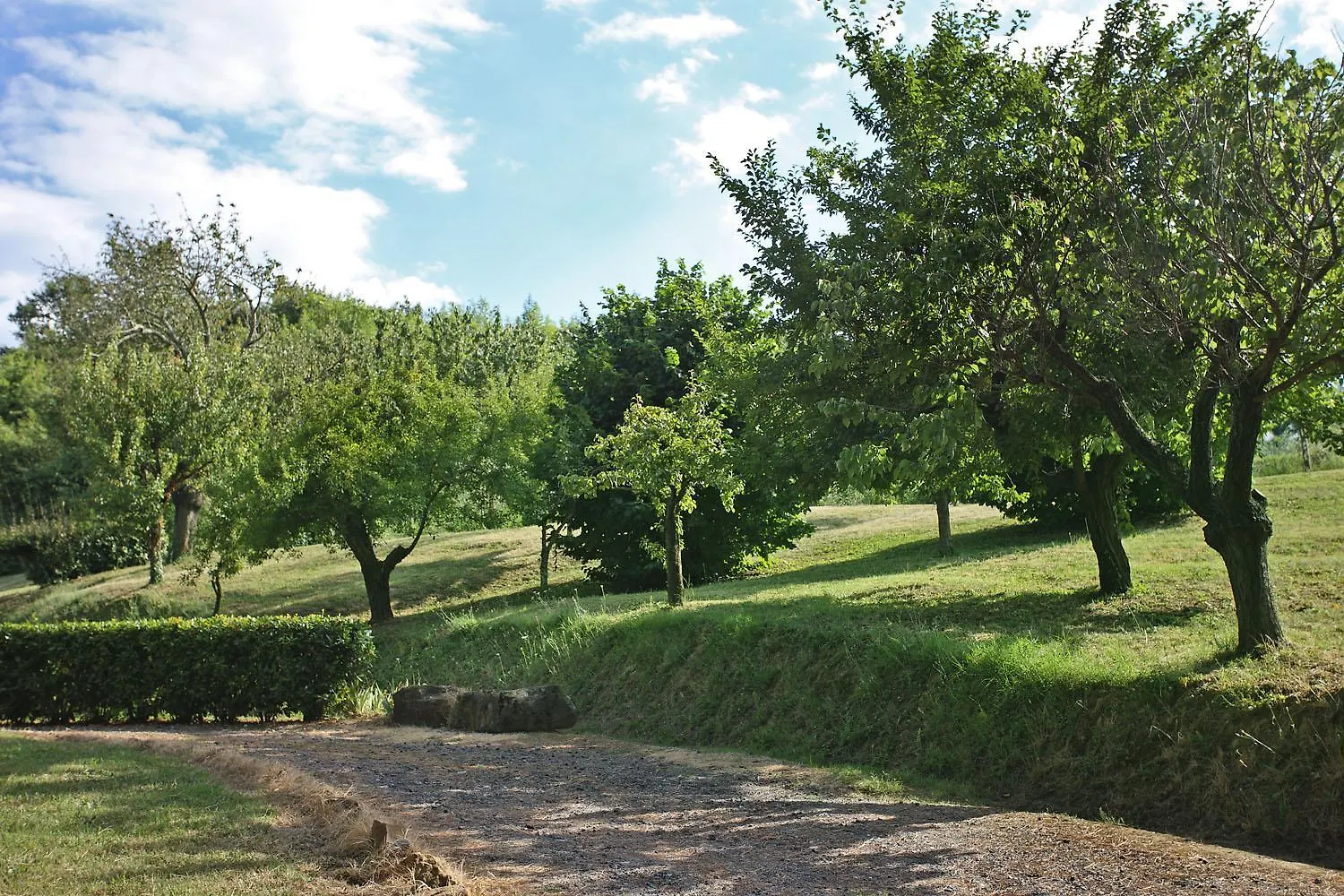 Apartment Il Lebbio Agriresort Montaione