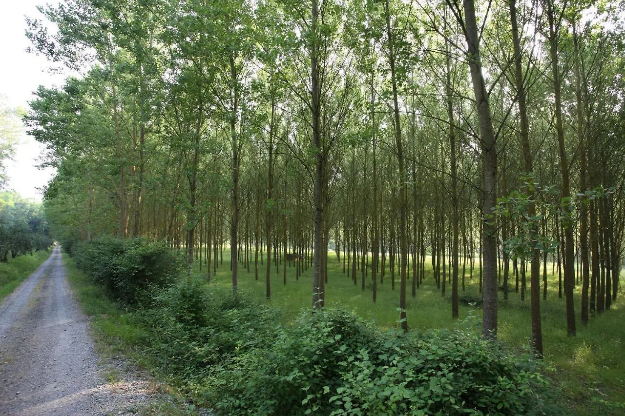 Il Lebbio Agriresort Montaione 0*,